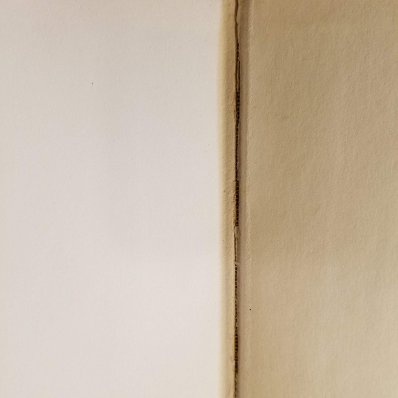 The Family Nobody Wanted - Picture 9 of 14